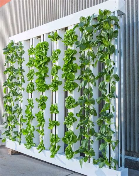 vertical gardening ideas  small space garden ideas