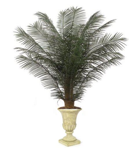 Earthflora Outdoor Tropical Artificial Palm Trees Custom Made 5 Feet And 6 Feet Tall New Areca