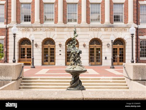 Entrance the School of Medicine and Dentistry and Georgetown University ...