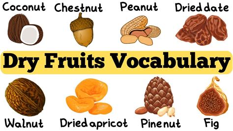 Dry Fruits Vocabulary Ll About 50 Dry Fruits Names In English With