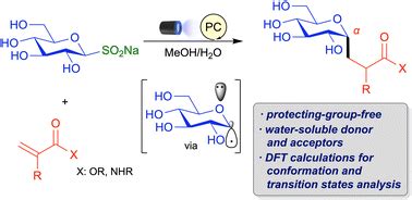 Photoredox Catalyzed Protecting Group Free C Glycosylation With