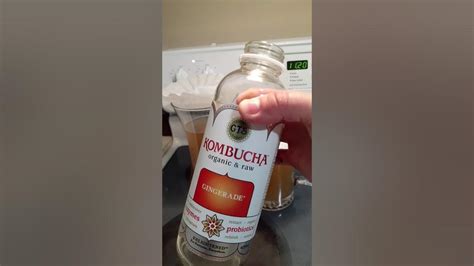 Kombucha Fácil Para Hacer En Casa Youtube