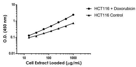 人p53 phospho S15 抗体Pair BSA and Azide free Abcam中文官网