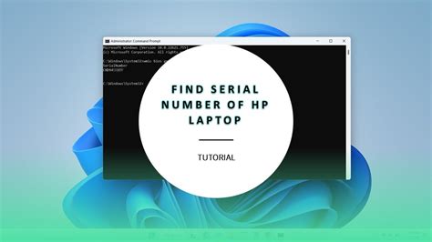 How To Find Serial Number Of Hp Laptop Youtube