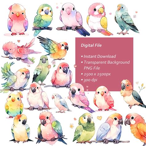 Kawaii Parrot Watercolor Clipart Set Colorful Whimsical Etsy