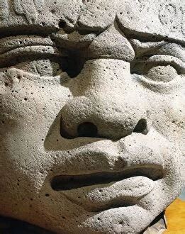 Olmec civilization (Ancient Civilizations)