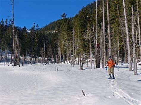 Fagins Weather World Hike Washington Hike Of The Week Coplay Lake