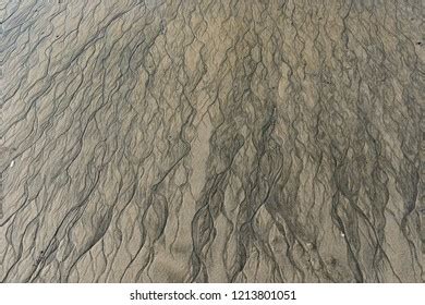 Ripple Marks On Sand Beach Stock Photo 1213801051 | Shutterstock