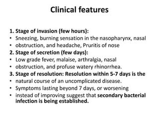 Rhinitis | PPT