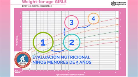 EVALUACIÓN NUTRICIONAL NIÑOS MENORES DE 5 AÑOS by Iris Rocio Velasquez