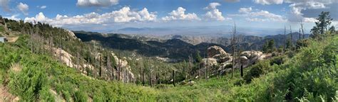 Mount Lemmon Trail 851 Fotos Arizona Alltrails