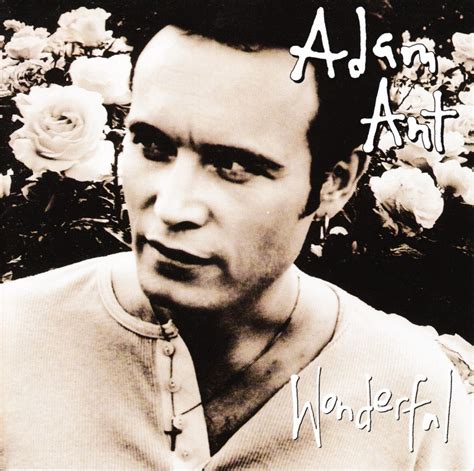 Adam Ant – Wonderful Lyrics | Genius Lyrics