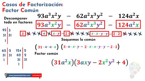 Factor Comun Metodo Ejemplos Expresiones Algebraicas Factores The