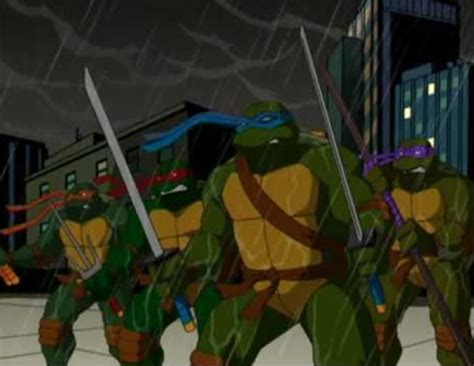 Michaelangelo, Raphael, Leonardo and Donatello | Teenage mutant ninja ...