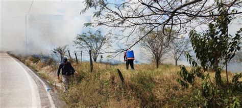 Se Registran Dos Incendios Forestales En Alto Lucero Veracruz