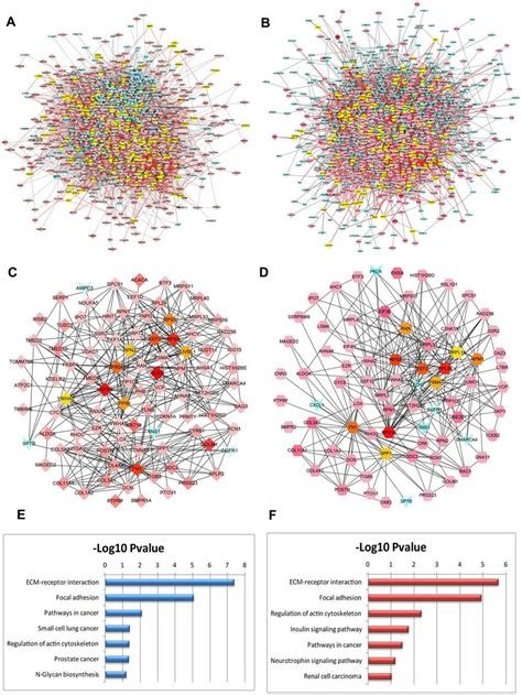 PPI Networks Constructed By The DEGs From BM PCa And Pathway Function