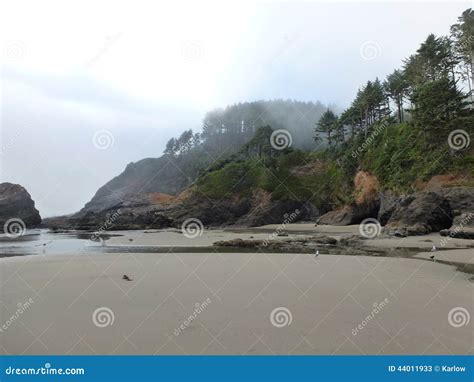 Heceta Head Lighthouse State Scenic Viewpoint 1jp Stock Image Image