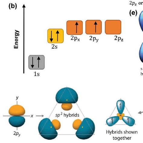 Carbon Atom Structure 3d