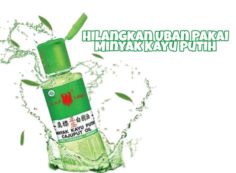 cara menghilangkan uban dengan minyak kayu putih 8