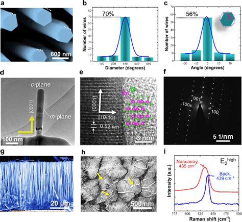 A The Magnifying SEM Image Of ZnO Nanoarray B Diameter And C