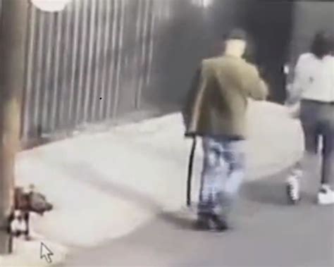 VIDEO Amarran A Perro A Un Poste Y Lo Abandonan En Tlalpan POSTA