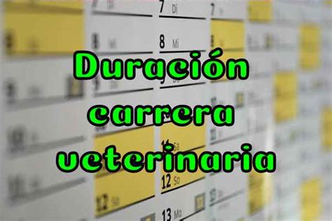 Cuántos años dura estudiar veterinaria 2024