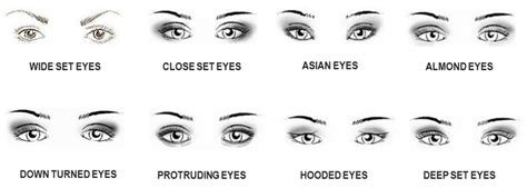 Shape of eyes | Contour with eyeshadow, Asian eyes, Types of eyes