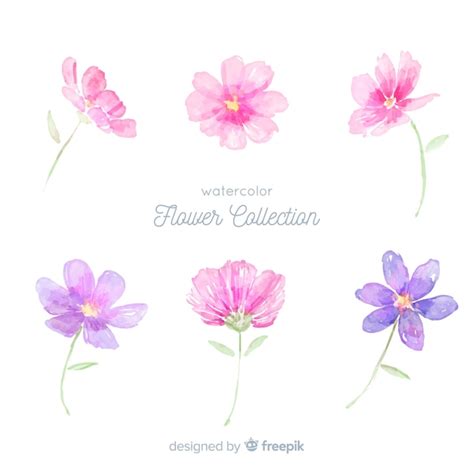 Set De Flores En Acuarela Vector Gratis