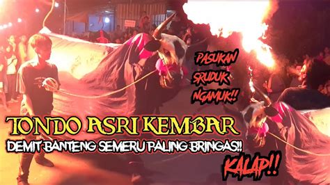 Bantengan Tondo Asri Kembar Kalap Demit Lahar Semeru Ngamuk Sruduk