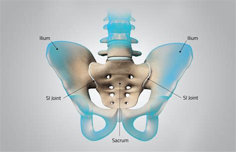 Hip Low Back Pain Orthofix