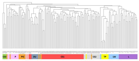 An Upgma Phylogenetic Tree Based On Neis Standard Genetic Distance