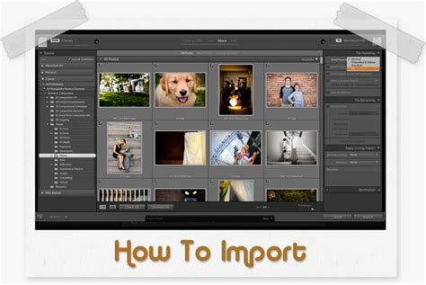 How To Import Photos Into Lightroom Parker Photographic