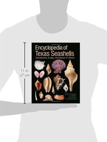 Encyclopedia Of Texas Seashells Identification Ecology Distribution