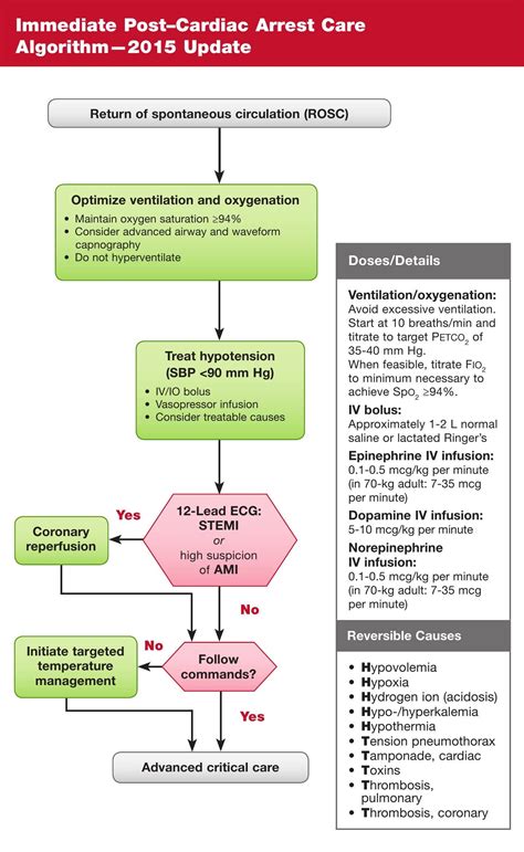 Acls Drug Cards Hot Sex Picture