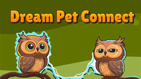 Dream Pet Connect Igraj brezplačno na Igre123