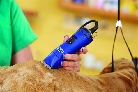 5 Best Heavy Duty Dog Clippers For Thick Coated Dogs