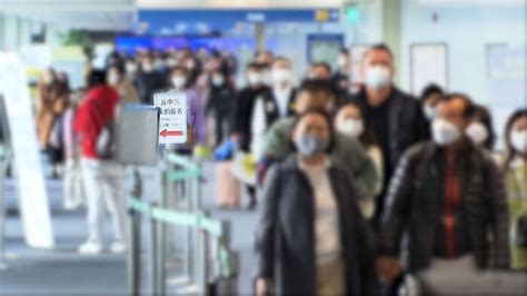 중국 한국인 비자제한 해제 적극 고려할 것 네이트 뉴스