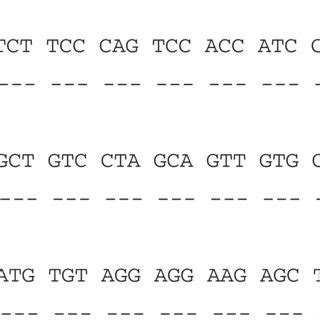 Alignment Of The Exon Sequence Of The Hlab Allele With That