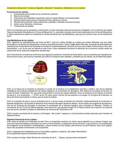 Contenidos a Desarrollar Funciones Digestión Absorción Transporte y