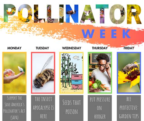 Gear Up For Actions To Protect Pollinators During Pollinator Week June