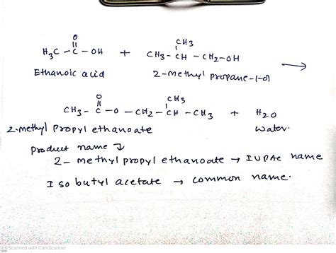 Solved Write A Balanced Equation For The Reaction Between Iso Butanol