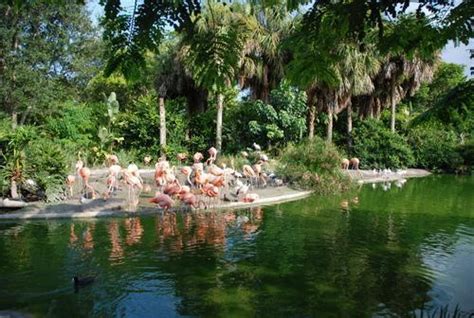 Zoo Miami