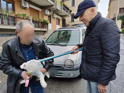 Catanzaro Parte La Stretta Della Polizia Locale Contro Labbandono