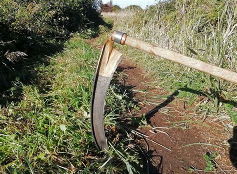 Choosing scythe blades for rough mowing - Wild Scythe