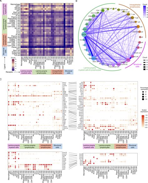 Ligandreceptor Analysis Reveals Intestine Interactome Network A