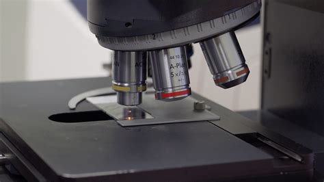 Greenville Pathology, P.A. | LinkedIn