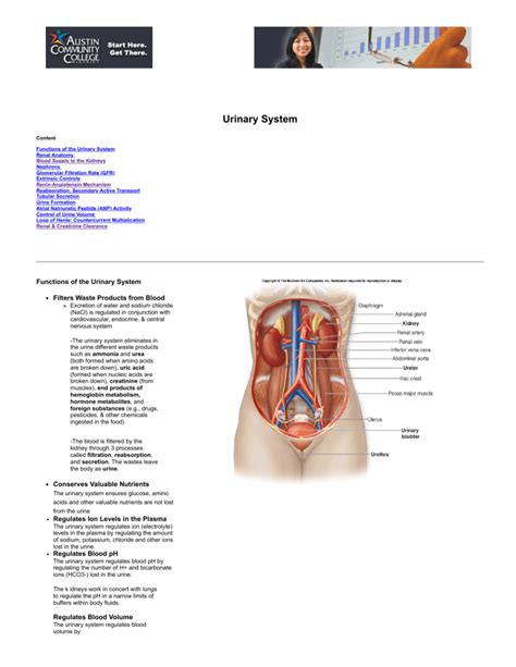 Associate Degree Nursing Physiology Review