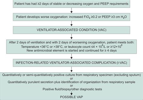 Ventilator Associated Pneumonia Pathophysiology