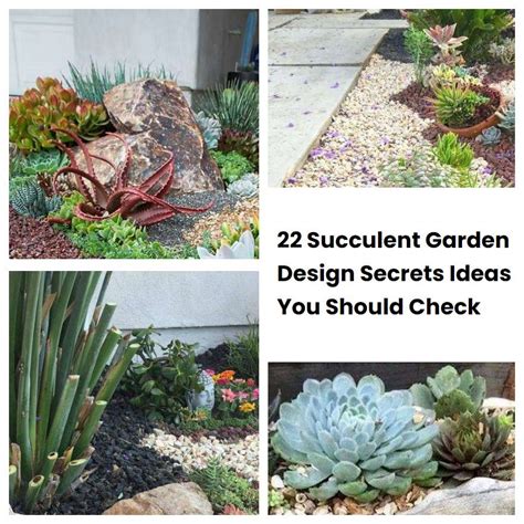 22 Succulent Garden Design Secrets Ideas You Should Check SharonSable