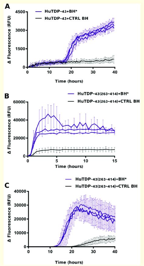 Rt Quic Analysis Of Bh Samples In Brief Ll Of Sonicated And